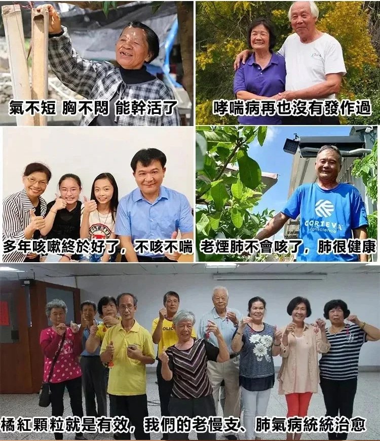 人參百合玉竹羅漢果片,趣醫森草本精華科學配比清潤護喉壓片糖果60片每瓶 20 ec88606450b39de0596a0cee7f52e092 人參百合玉竹羅漢果片