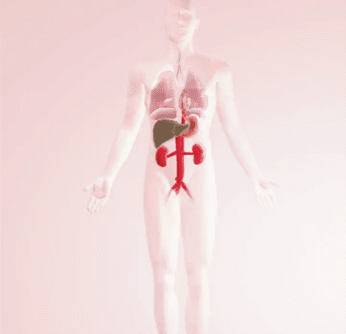 香港時珍大藥局水飛薊人參佛手貼,香港大藥房香港時珍大藥局水飛薊人參佛手貼天麻三七通絡貼雞血藤益母甘草貼6貼每盒 19 香港時珍大藥局水飛薊人參佛手貼_16-1.gif