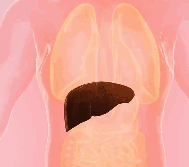 香港時珍大藥局水飛薊人參佛手貼,香港大藥房香港時珍大藥局水飛薊人參佛手貼天麻三七通絡貼雞血藤益母甘草貼6貼每盒 13 香港時珍大藥局水飛薊人參佛手貼_10-1.gif