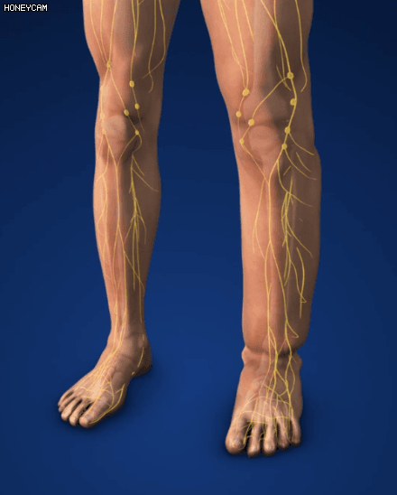 Honeycam 2025-08-12 14-31-18.gif