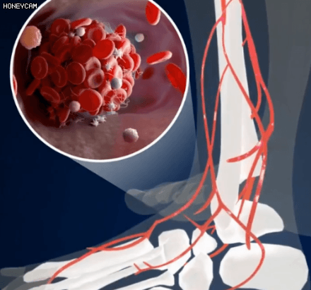 Honeycam 2025-08-12 14-33-50.gif