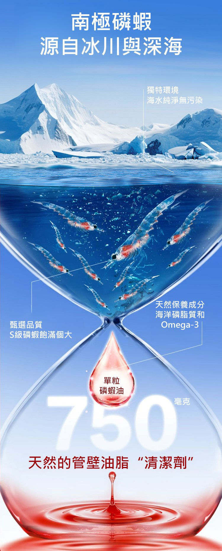 南極磷蝦油膠囊_07.jpg