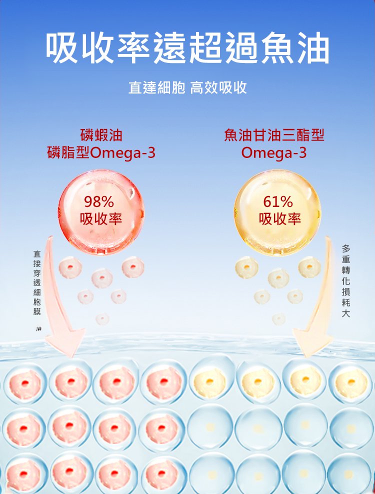 南極磷蝦油膠囊_11.jpg