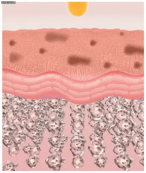 LOVILDS™Collagen Night Wrap Peel-Off-Maske