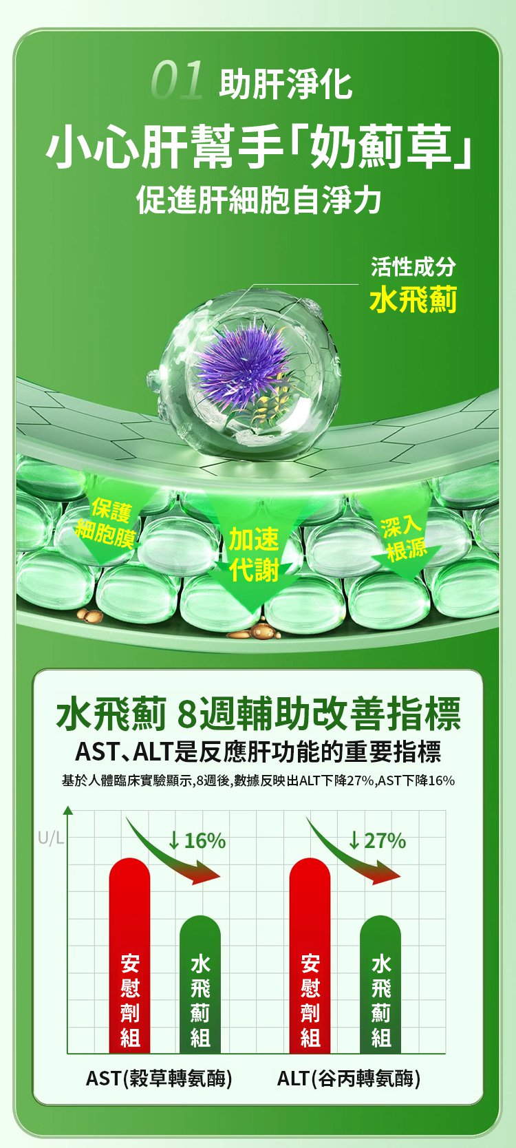 水飛薊靈芝薑黃片 6 f080eac383d8b86310389c64ce6dc1b8 水飛薊靈芝薑黃片