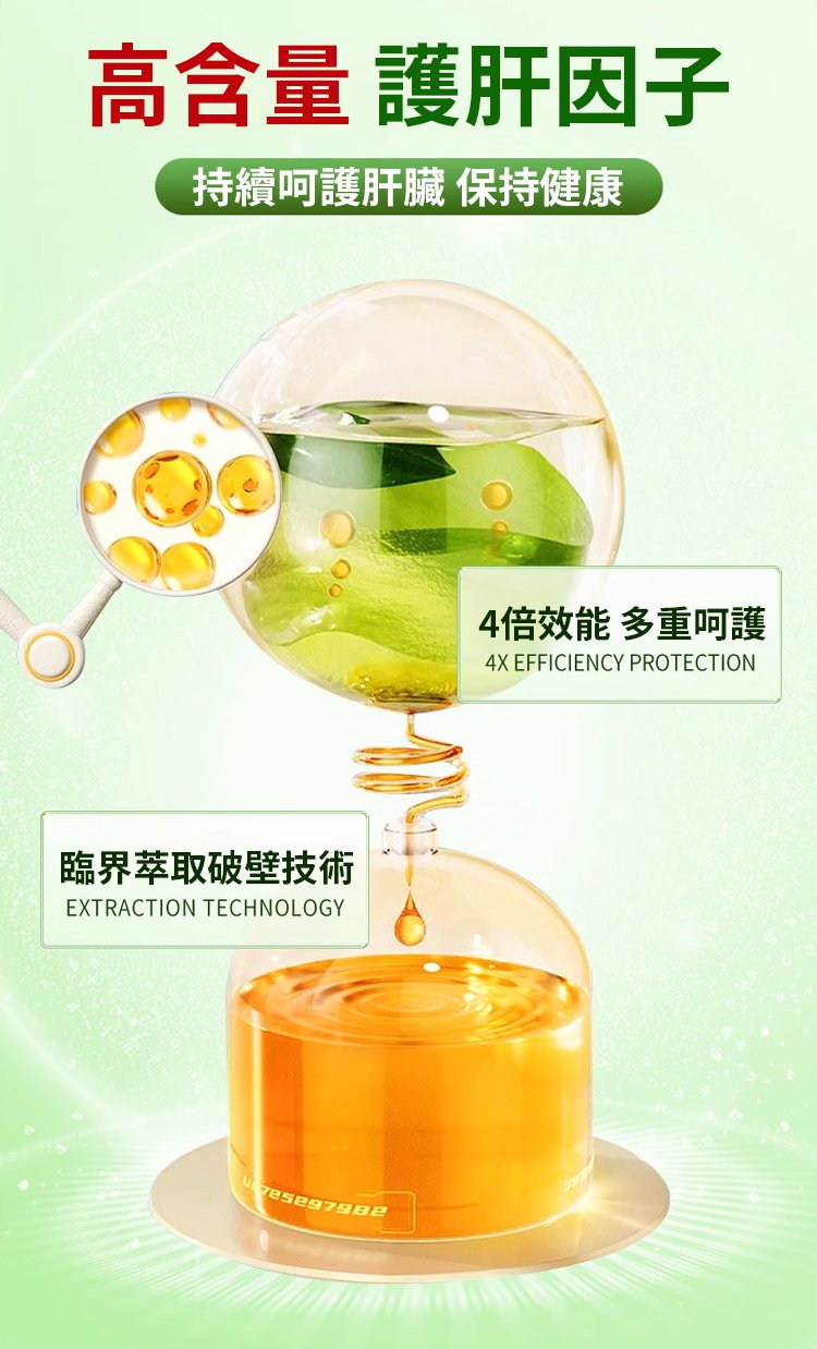水飛薊靈芝薑黃片 9 cd67cdb4c3b0c602675a6ea780d5d45b 水飛薊靈芝薑黃片