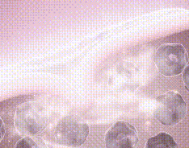 yingyu_20-1.gif