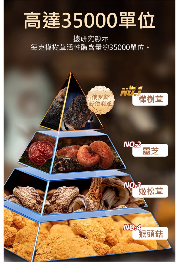 西伯利亞樺樹茸,抗糖降血壓西伯利亞樺樹茸三高胰島素樺褐孔菌西伯利亞樺樹茸黑金原裝野生40克罐裝 13 42e8a3fc41f348e3e8581b743f82d7fc 西伯利亞樺樹茸