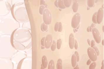 17-7c17a62a888ddc1004c159999c91646b.gif