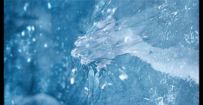 1 (4)-1.gif