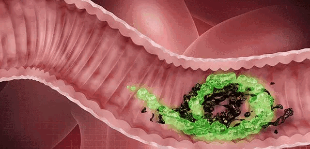椰奶益生菌燕麥片 15 1_09.gif