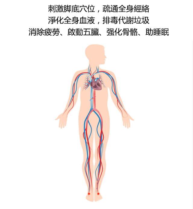91819a2d7e11acfb58eeff4e57d4fb0c 磁石按摩足療鞋