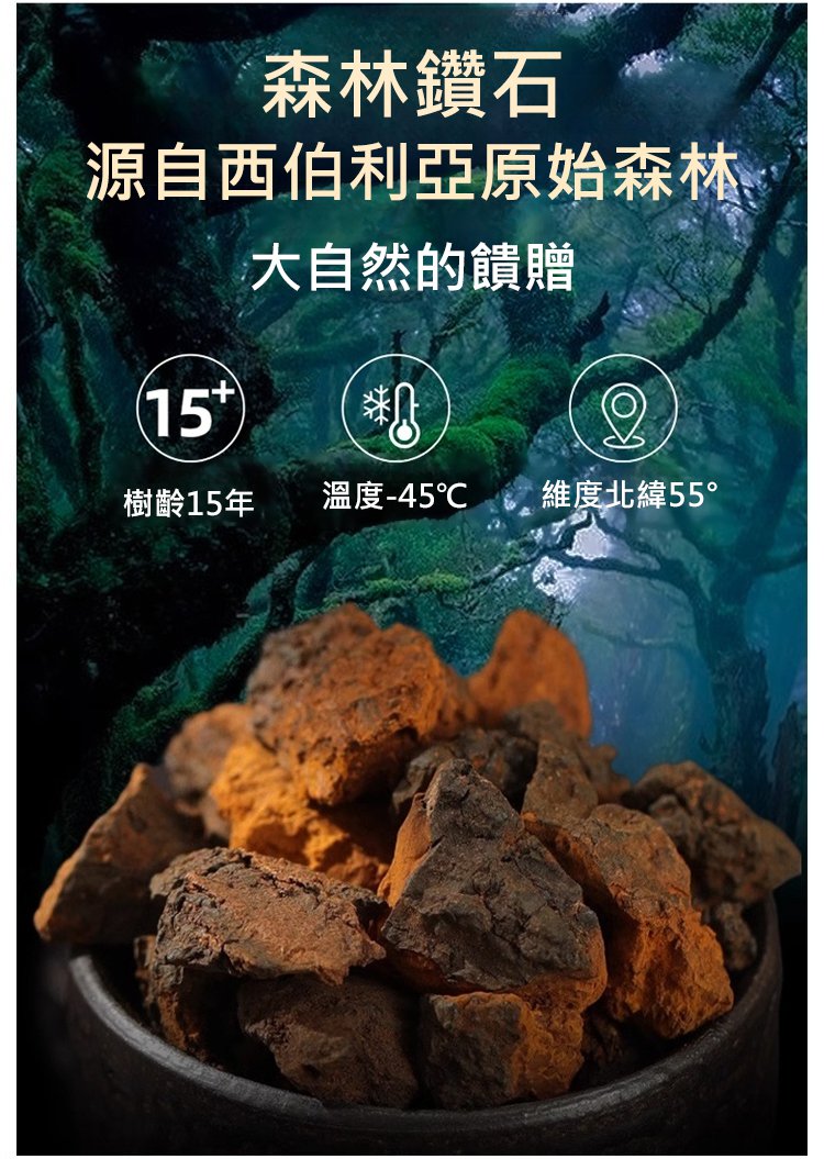 西伯利亞樺樹茸,抗糖降血壓西伯利亞樺樹茸三高胰島素樺褐孔菌西伯利亞樺樹茸黑金原裝野生40克罐裝 8 c1517c3f40f8af8e5f3cebbdc9b0f6e7 西伯利亞樺樹茸