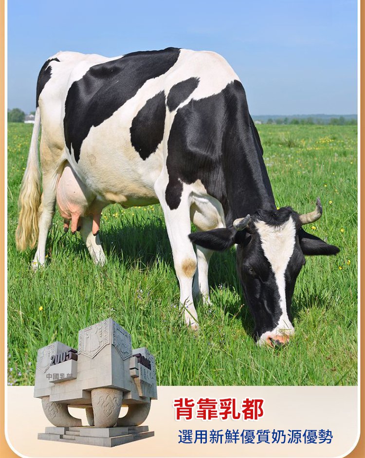 151a04b29357c1f09872495b7a97d630 純手工內蒙奶疙瘩