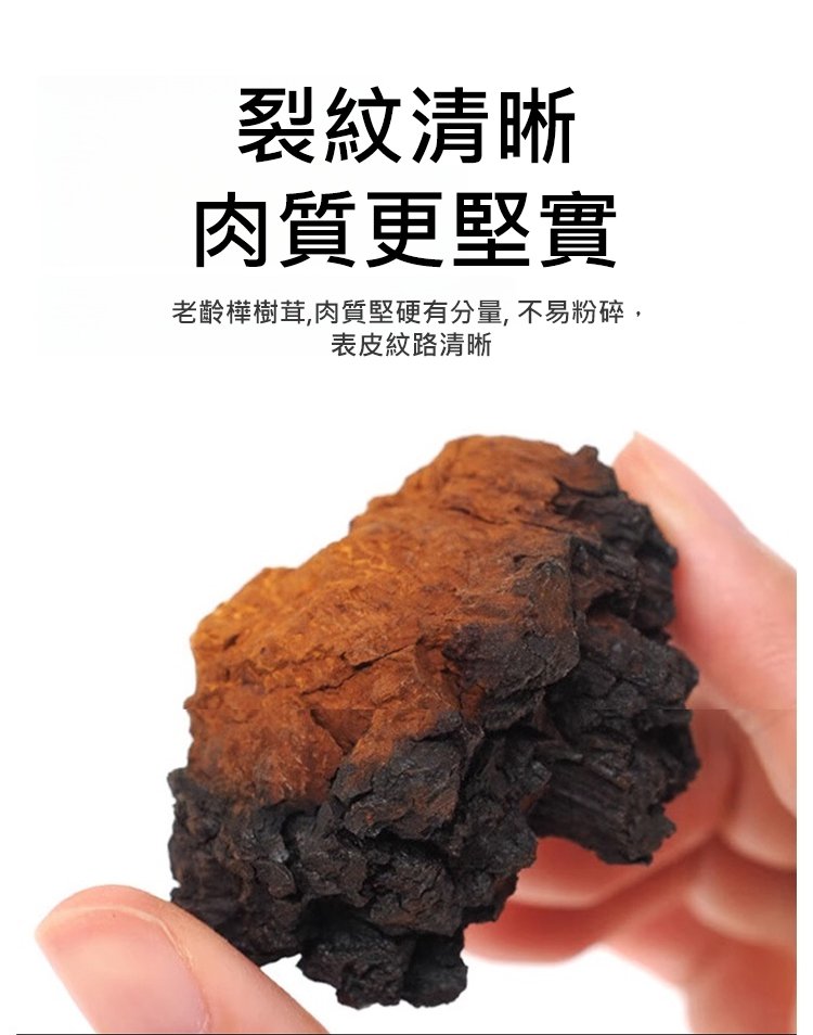 西伯利亞樺樹茸,抗糖降血壓西伯利亞樺樹茸三高胰島素樺褐孔菌西伯利亞樺樹茸黑金原裝野生40克罐裝 18 93856ab08ebe7346be99958d80a6c1ec 西伯利亞樺樹茸