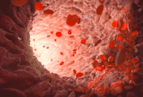 1_027.gif