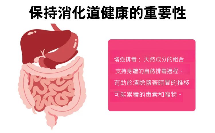 丁香佛手沙棘片,現貨京膳力丁香佛手沙棘片護胃祛除口臭草本精粹壓片糖果100片每瓶 24 711e98dde35f7a94838b8c1c8f86a33f丁香佛手沙棘片