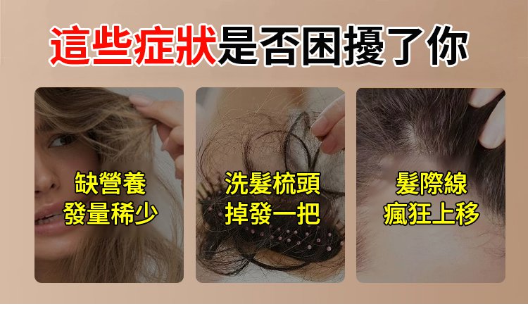 固養黑方湯,養生茶獨立包裝決明子枸杞山楂黑豆黑芝麻陳皮幹姜代用茶150克每盒 11 b15ec046887ea5d69253fcd45dc7afeb 固養黑方湯