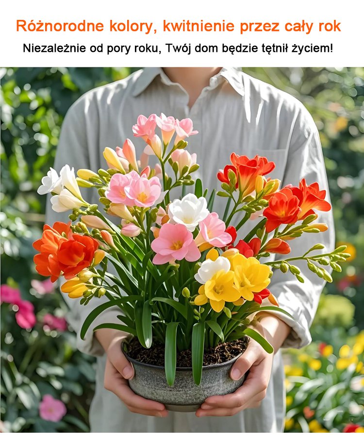 1_07.jpg