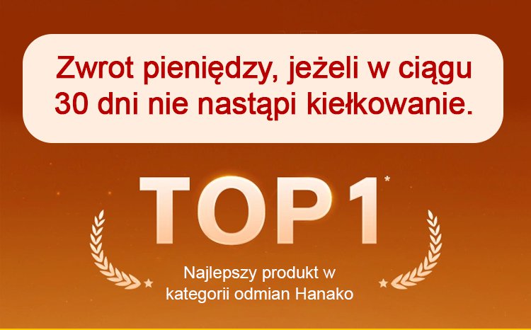 1_01.jpg