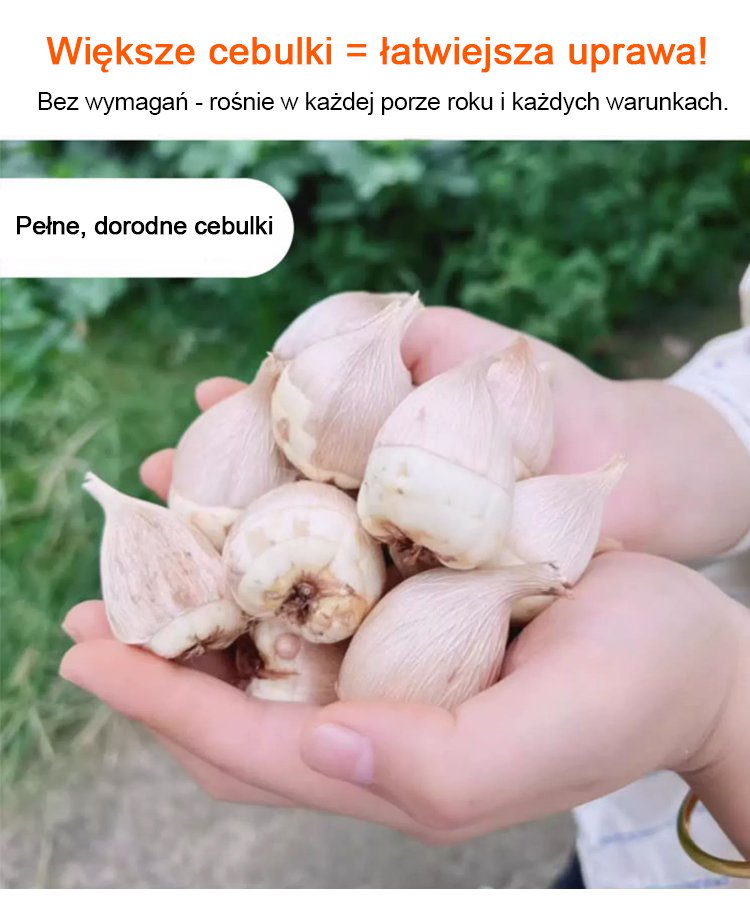 1_12.jpg