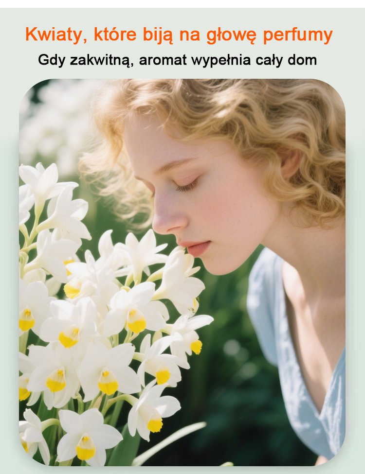 1_09.jpg