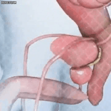 Ingrédients naturels