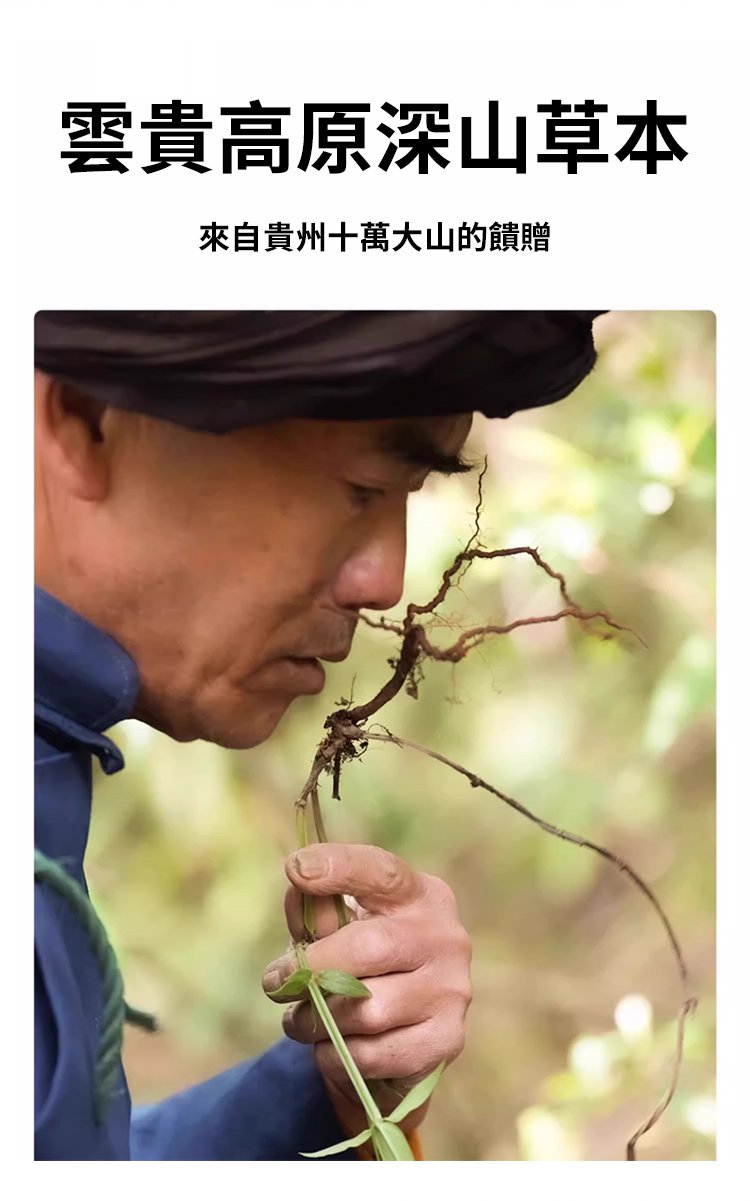 苗家川芎紅花苗灸液通絡液 7 252b28638a6bcc3ba85459065425feab 苗家川芎紅花苗灸液通絡液