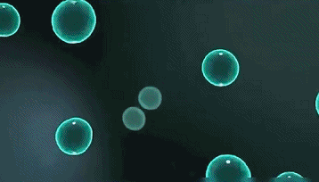 塑膠時光氨糖軟骨素鈣膠囊,金奧力牌同款塑時光同款氨糖軟骨素鈣膠囊塑時光40粒每瓶 28 ffe351dc4e8c4ff111c51b5d49f9f8b6 塑膠時光氨糖軟骨素鈣膠囊