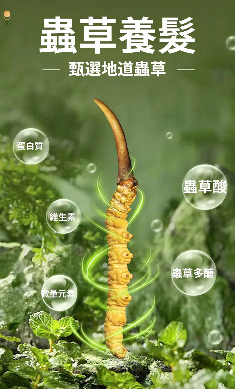 冬蟲夏草控油洗髮精 13 a0d2f30c53cc13caed4acf84c9f6b1ec 冬蟲夏草控油洗髮精