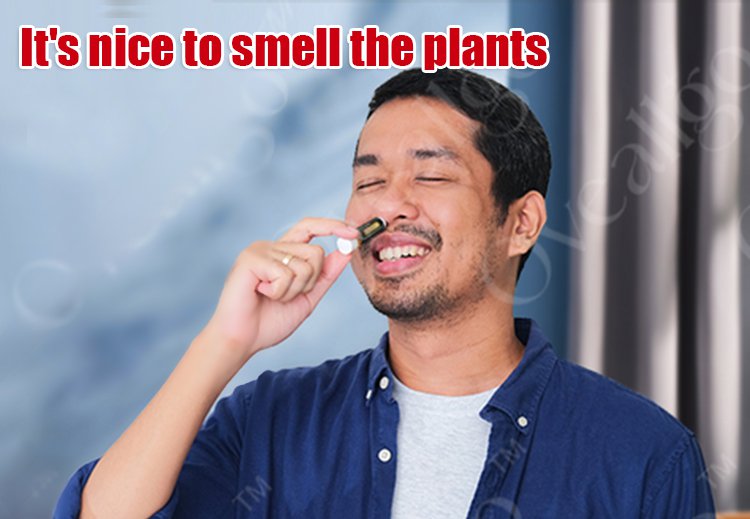 f0188f4bd21914065d8218fdd380eb53