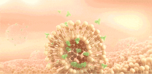 餘甘子桑椹靈芝片 24 3f0ece5371e764b9fdb8f0313655c4ae.gif