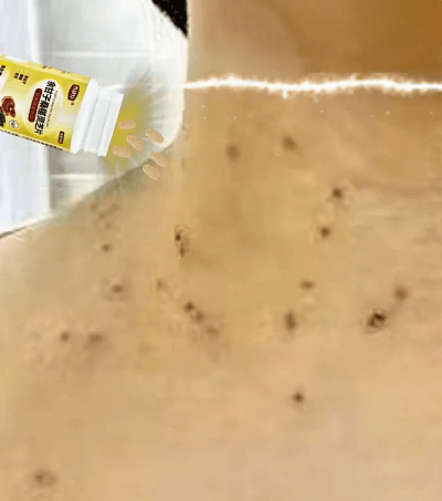 餘甘子桑椹靈芝片 14 Honeycam 2025-05-15 18-28-51.gif