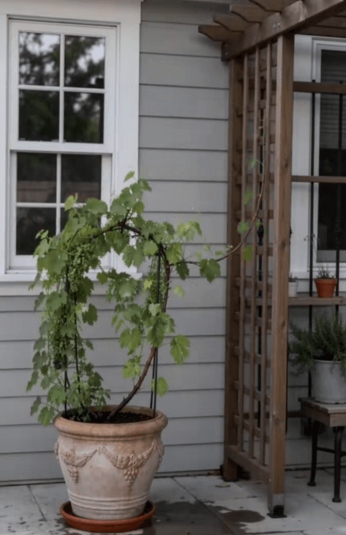 Honeycam 2026-06-17 15-39-51.gif