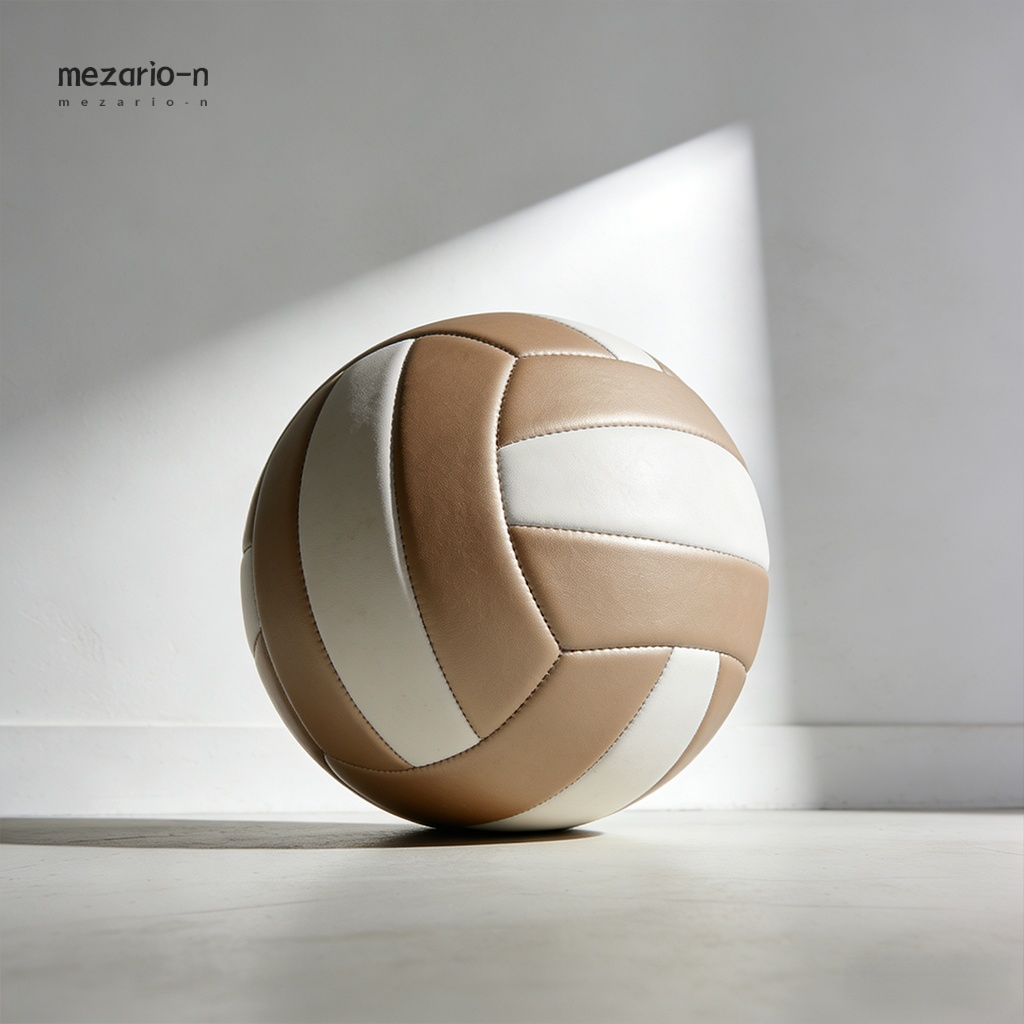 Official size and weight volleyball for matches