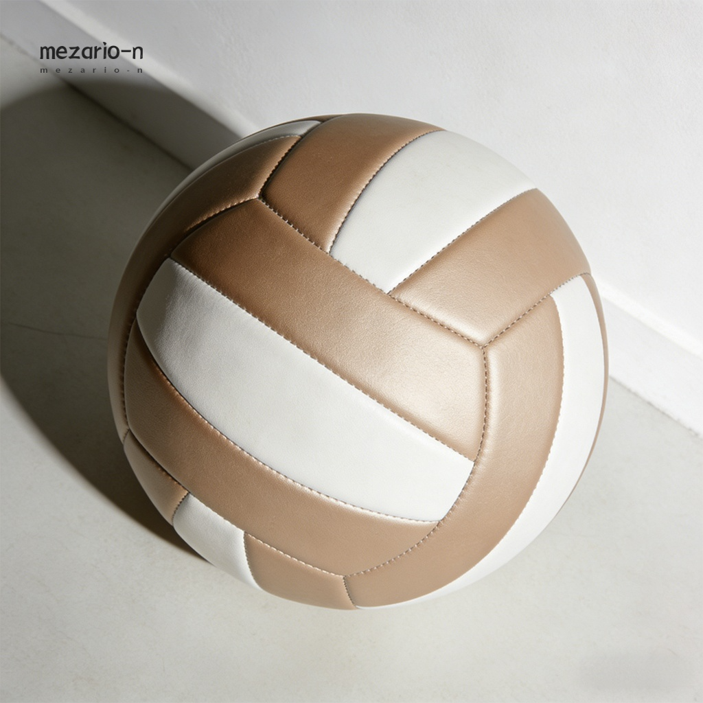 Standard Competition Volleyball front view