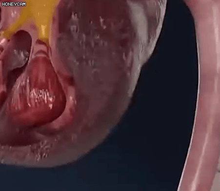 Honeycam 2025-09-20 11-19-55.gif