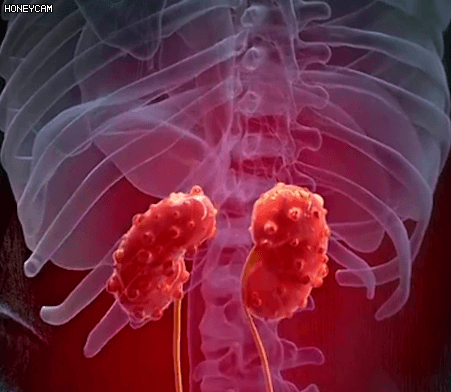 Honeycam 2025-09-20 11-19-07.gif