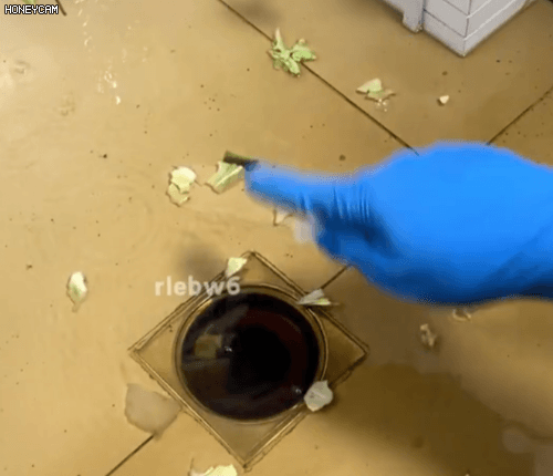 Honeycam 2025-11-25 11-05-04.gif