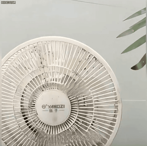Honeycam 2026-04-17 14-14-53.gif