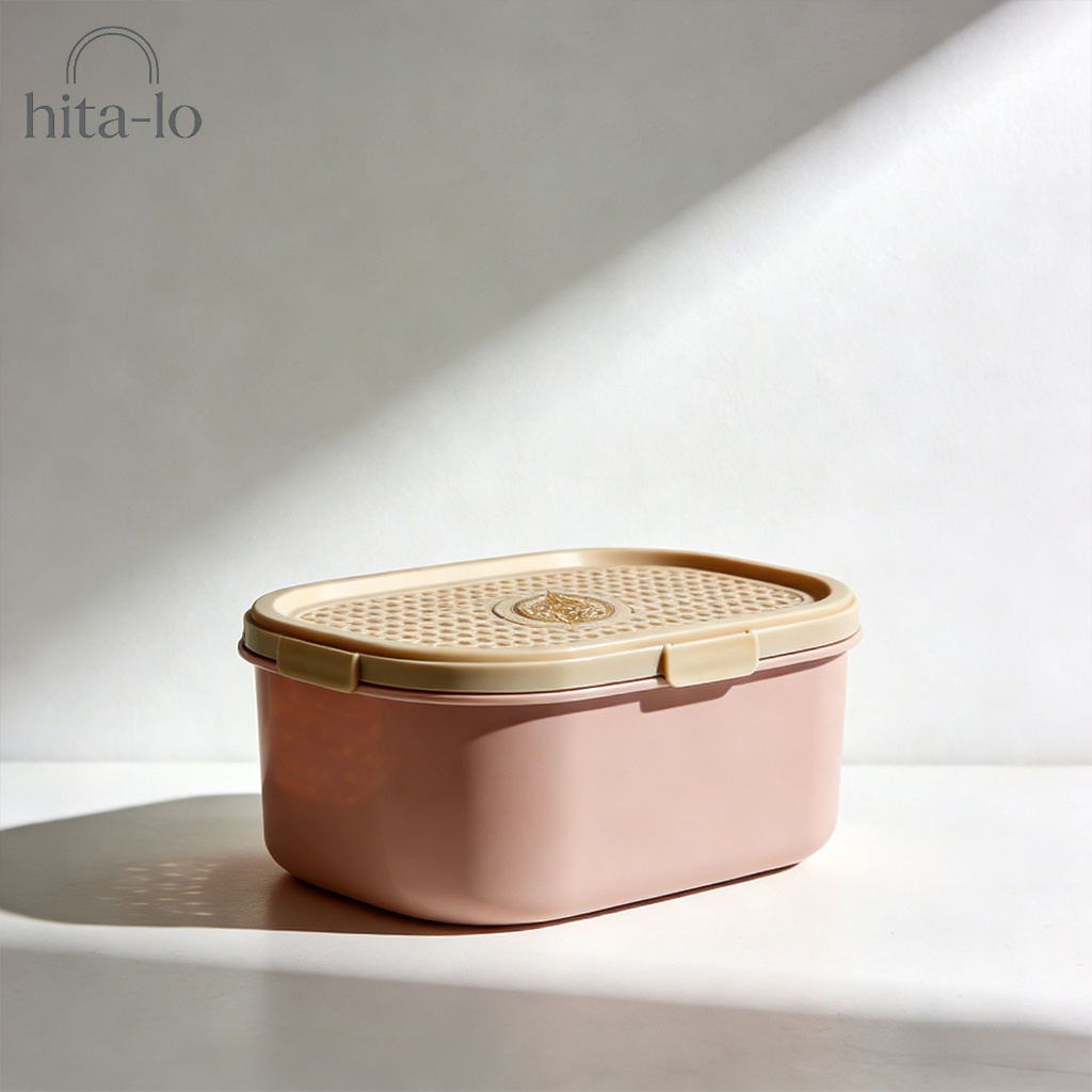 Haushalts-Entfeuchtungs- und Trockenboxen im 2er-Set