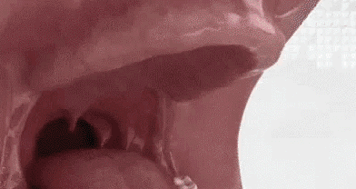 Honeycam 2026-03-18 11-55-23.gif