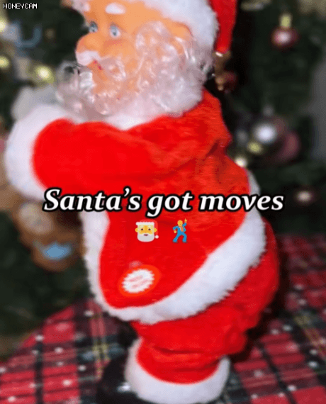 Honeycam 2025-11-29 13-43-11.gif