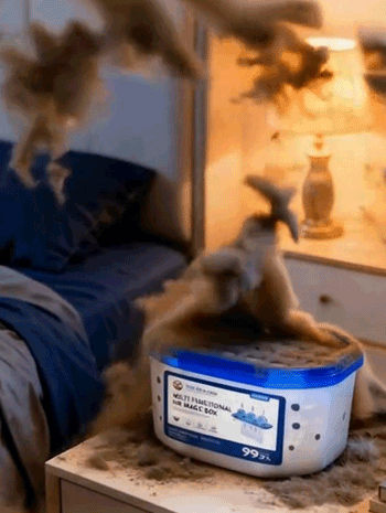002.gif
