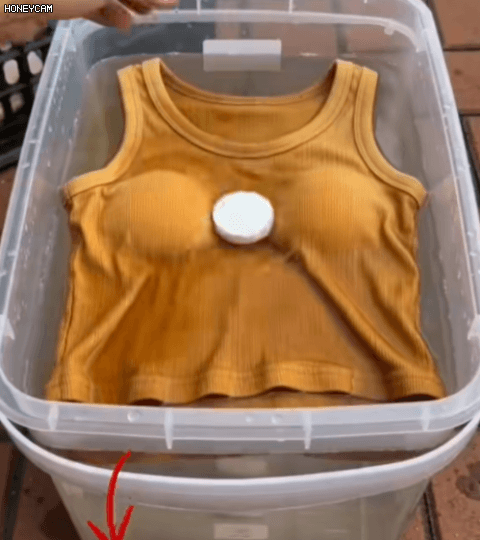 Honeycam 2026-06-02 19-41-02.gif