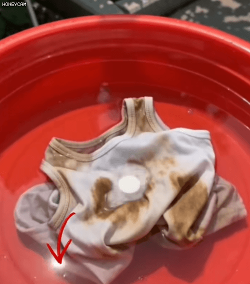 Honeycam 2026-06-02 19-39-13.gif