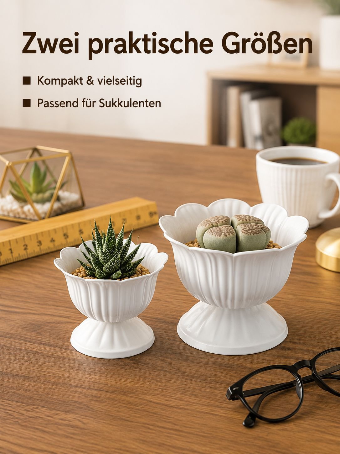 Moderne Haushaltsgeräte online kaufen – Qualität & günstige Preise,Praktische Alltagsprodukte für Ihr Zuhause – Jetzt entdecken,Gartengeräte und Zubehör online bestellen – Für Ihren Traumgarten