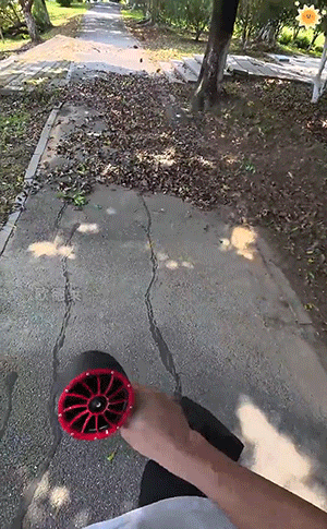 1.gif