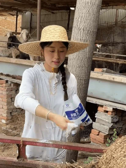画板_08.gif