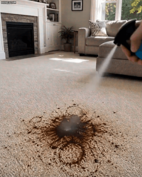 Honeycam 2026-08-01 17-25-39.gif